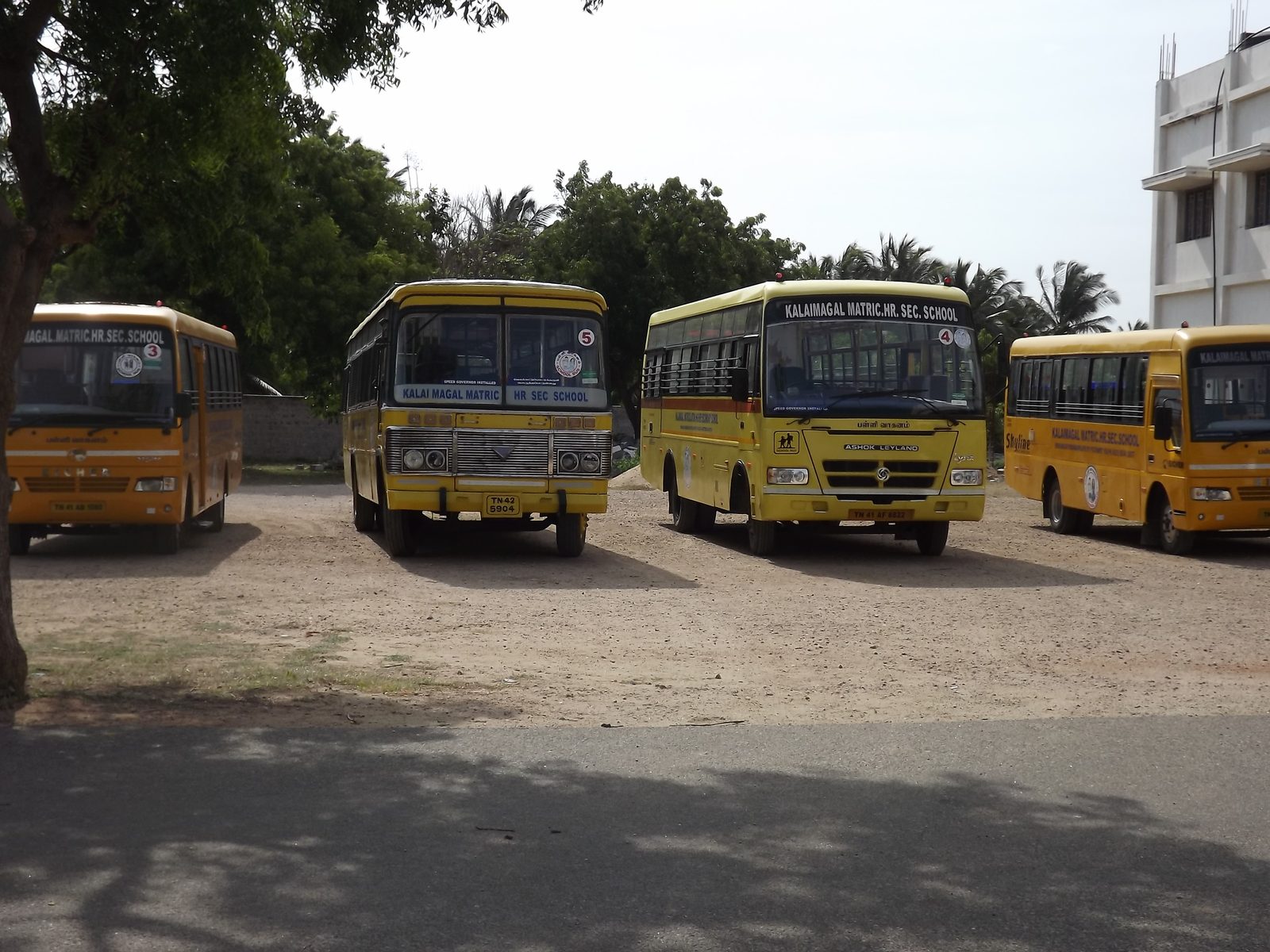 Fleet of school buses